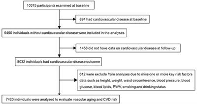 Association of Early and Supernormal Vascular Aging categories with cardiovascular disease in the Chinese population